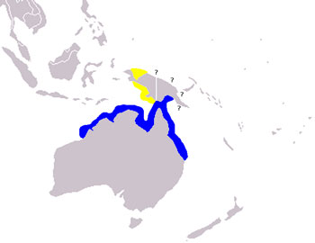 Australian Snubfin Dolphin Range Map (Coast of Northern Australia)