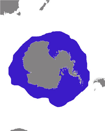 Crabeater Seal Range Map (Antarctic & Subantarctic waters)