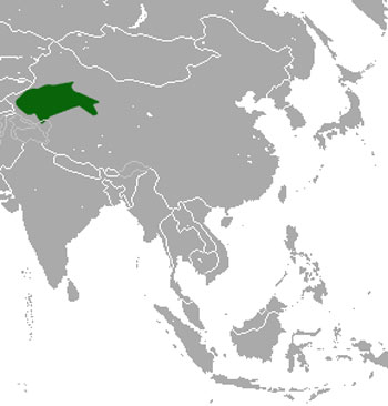 Yarkand Hare Range Map (Asia)