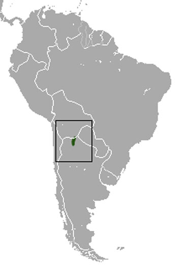 Yepes's Mulita Range Map (South America)